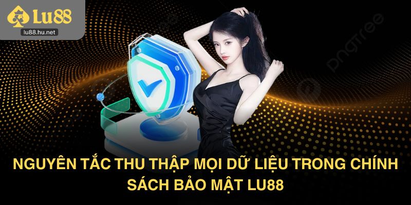Nguyên tắc thu thập mọi dữ liệu trong chính sách bảo mật Lu88