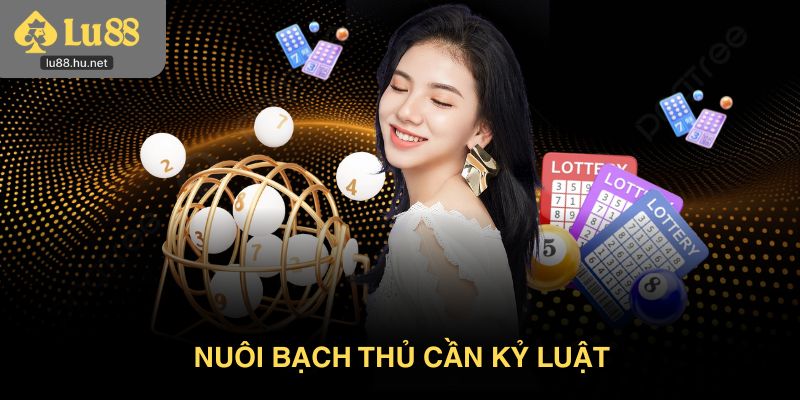 Nuôi bạch thủ cần kỷ luật chứ không phải cảm xúc nhất thời